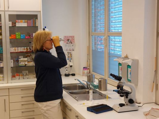 Biologische Tiermedizin