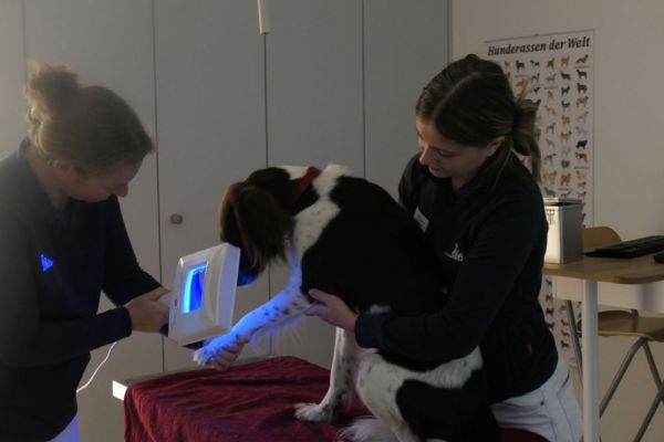 Dermatologie