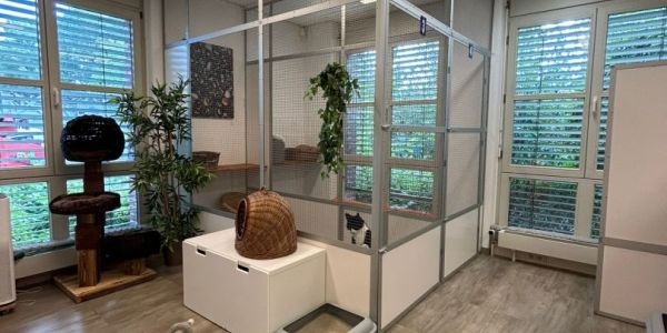 Einzelunterbringung Cat Hotel